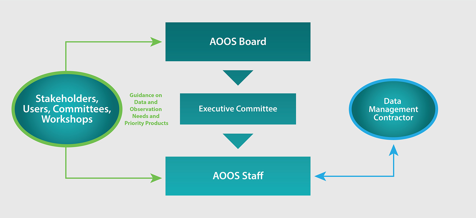 A graphic illustrating the AOOS organizational structure