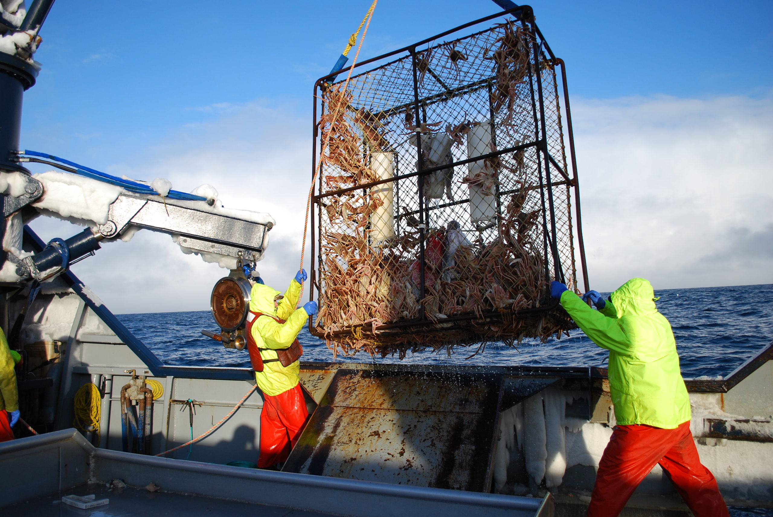 Bering Sea Crabbers Discuss OA