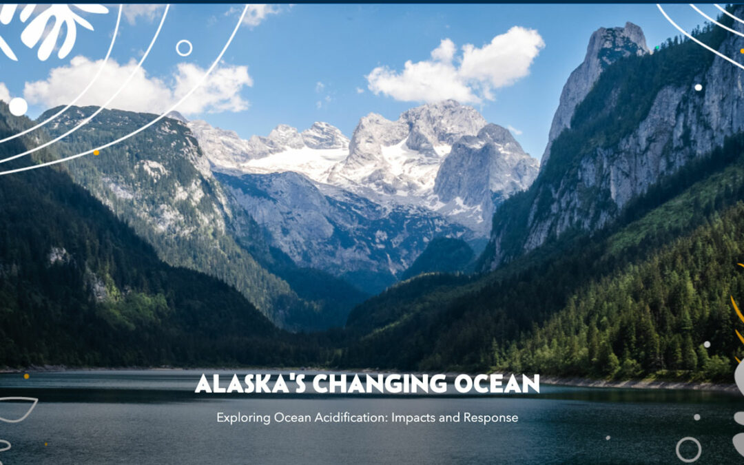 A new storymap presents information on ocean acidification