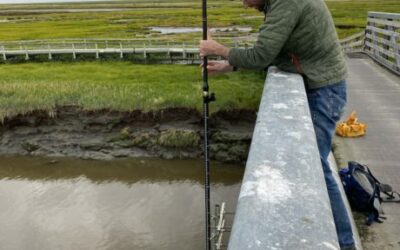 Water Level Sensor Installed to Monitor Flooding at Kwigillingok