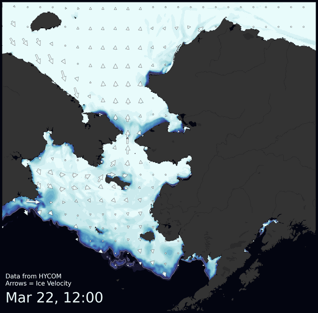 The 2023 Sea Ice for Walrus Outlook Season has begun!